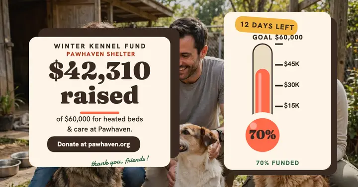 Pawhaven winter kennel fund tracker post template