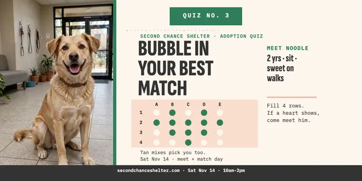 Noodle shelter match quiz post template