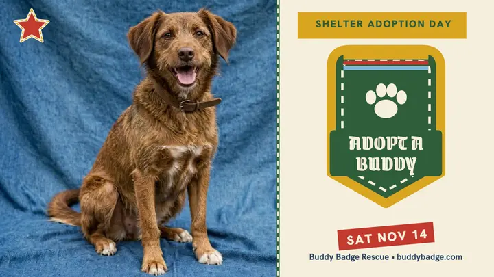 Buddy Badge shelter adoption patch thumbnail template