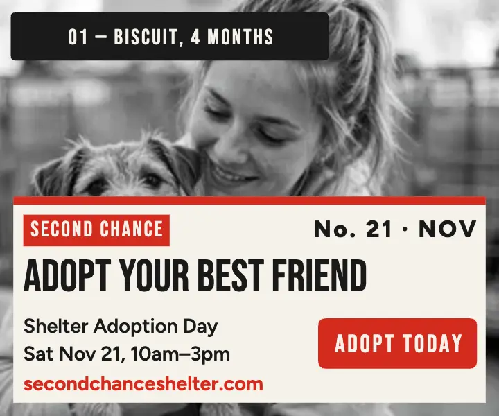 Second Chance Shelter adoption day photo ad template