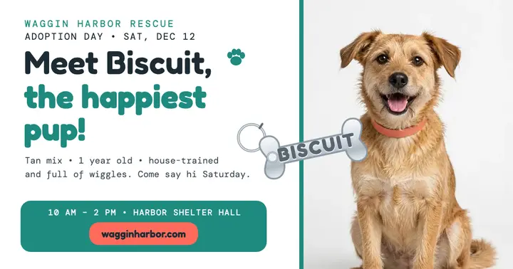 Biscuit shelter pup adoption post template