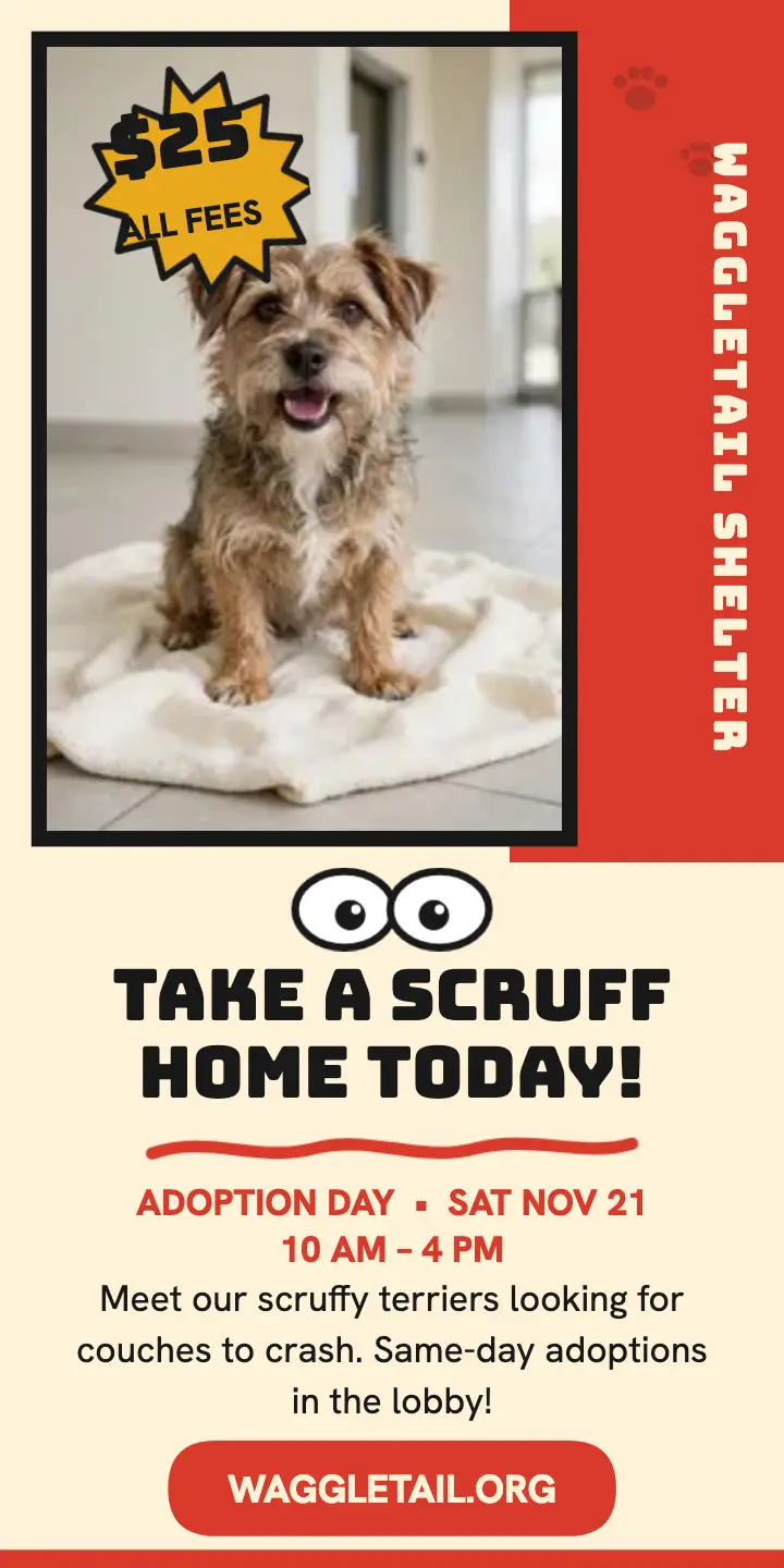 Waggletail adoption day cartoon ad template