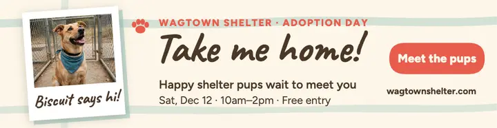 Wagtown shelter pup adoption billboard template