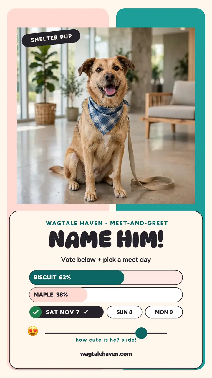 Wagtale Haven shelter pup poll story template