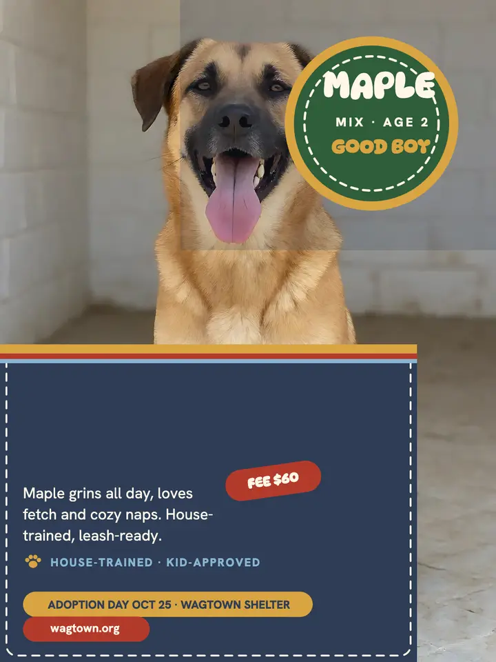 Maple shelter pup adoption portrait: dog adoption post template