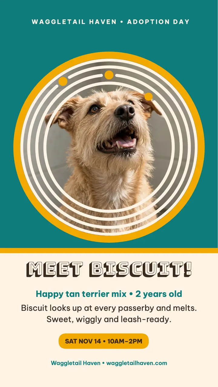 Biscuit terrier adoption day ring story template