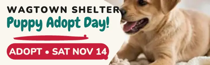 Wagtown Shelter puppy adopt day banner template
