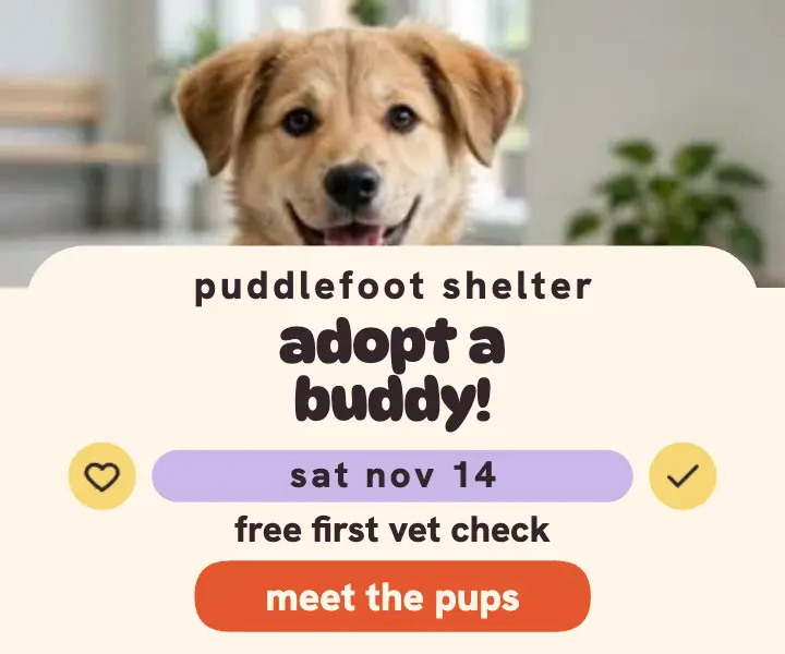 Puddlefoot Shelter puppy adoption day ad template