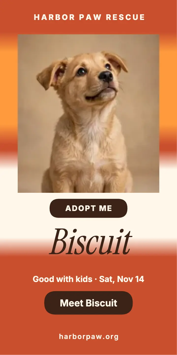 Harbor Paw puppy adoption colorfield ad: puppy adoption ad template