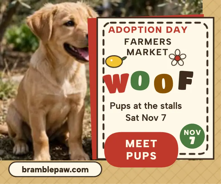 Bramblepaw puppy adoption market ad template