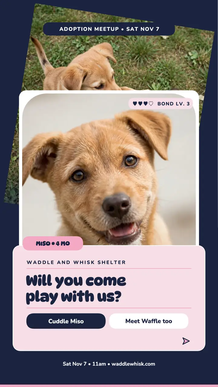 Waddle and Whisk puppy meetup story template