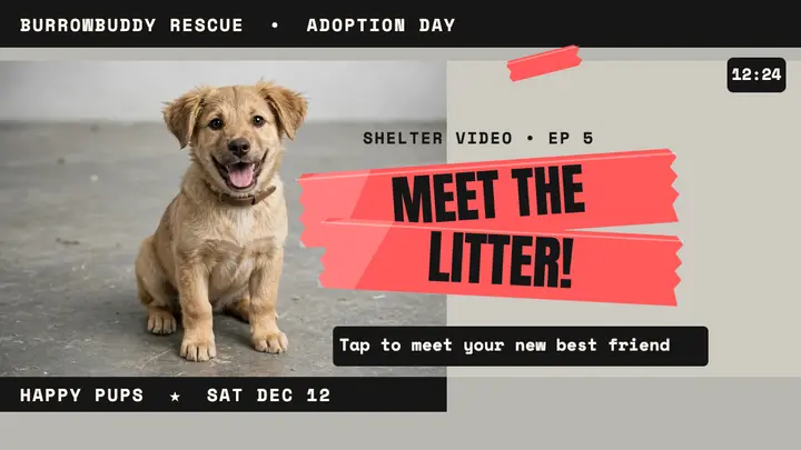 Burrowbuddy puppy adoption tape thumbnail template
