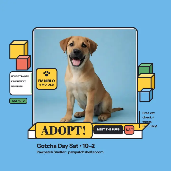 Pawpatch Shelter voxel puppy post template