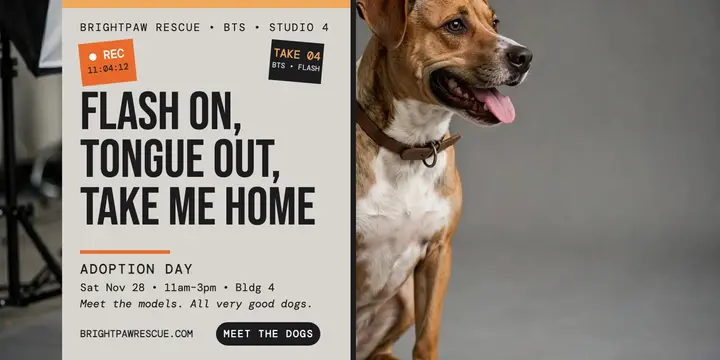 Brightpaw shelter shoot adoption post template