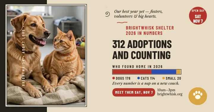 Brightwhisk shelter adoption stats post template