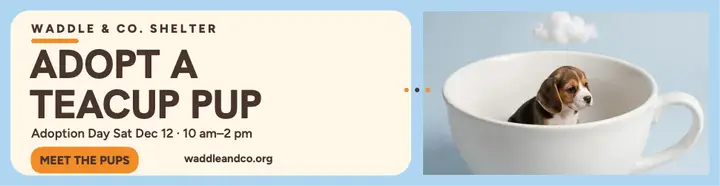 Waddle and Co teacup puppy adoption billboard template