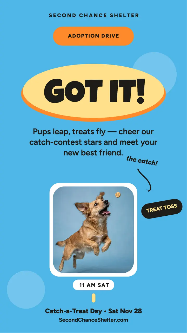 Second Chance Shelter treat catch story template