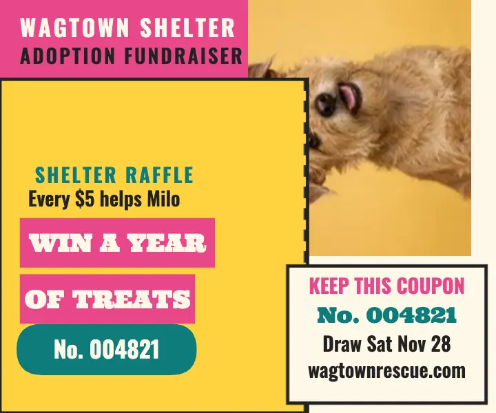 Wagtown shelter treat raffle tickets ad template