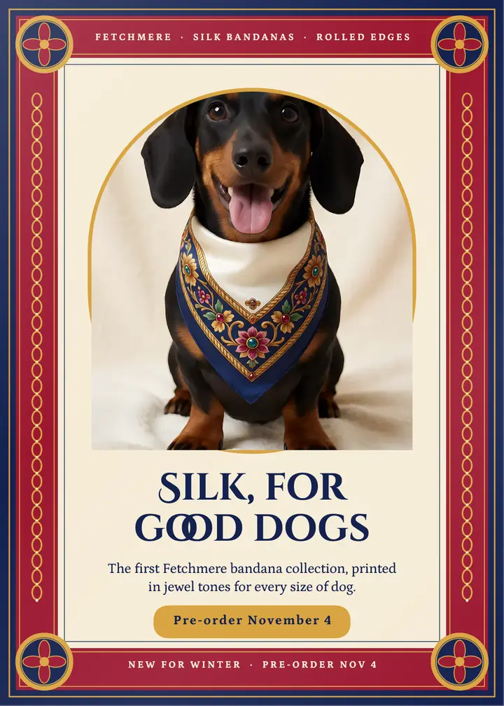 Fetchmere silk dog bandana collection launch card: dog bandana launch card template