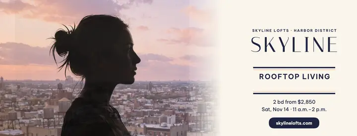 Skyline Lofts rooftop cover, silhouette template
