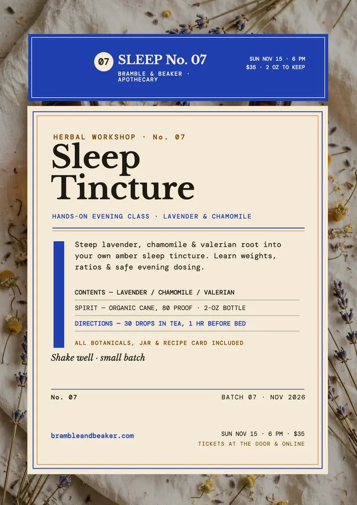Bramble and Beaker sleep workshop flyer template