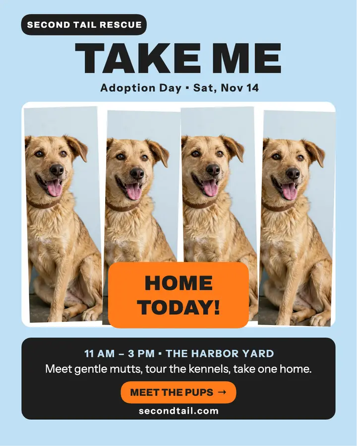 Second Tail sliced adoption day post template