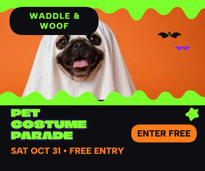 Slime pet costume parade ad template
