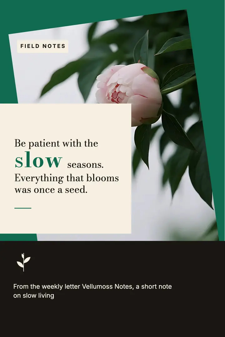 Slow seasons patience quote poster template