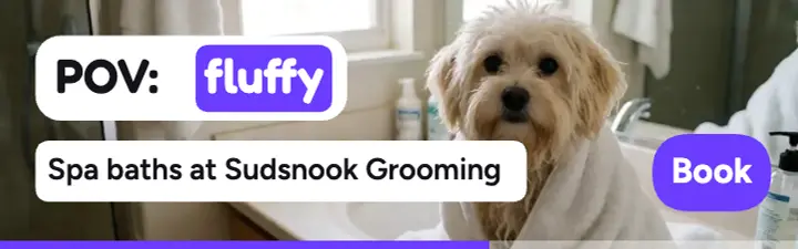 Sudsnook Grooming POV fluffy mobile banner template