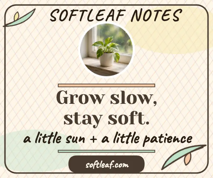 Softleaf grow slow quote ad template