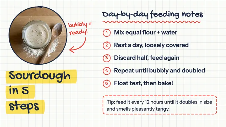 Sourdough starter notes thumbnail, sketchnote template