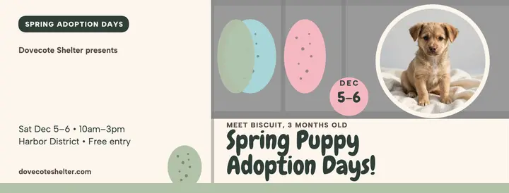 Dovecote Shelter spring puppy adoption cover template