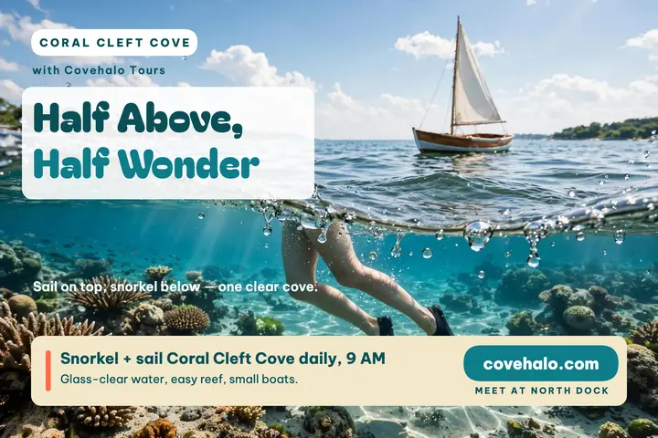 Coral Cleft Cove split postcard, Covehalo template