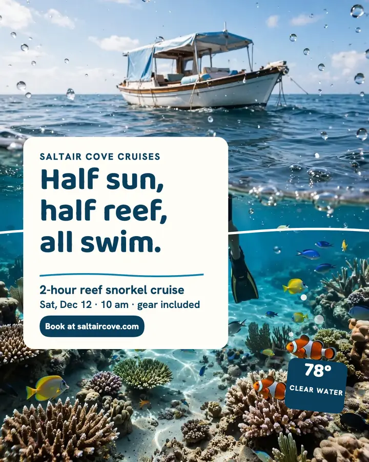 Saltair Cove snorkel cruise split post template