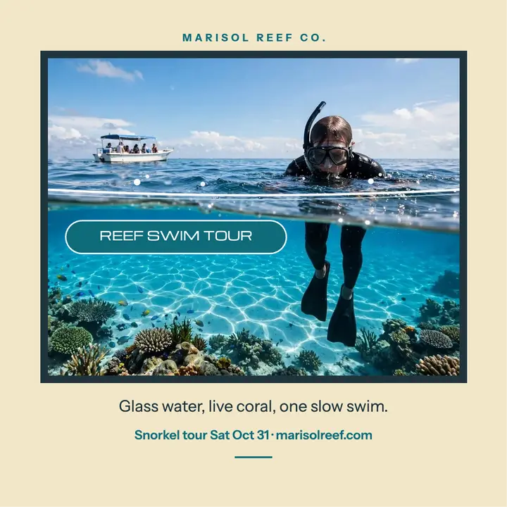 Marisol Reef split swim tour post template