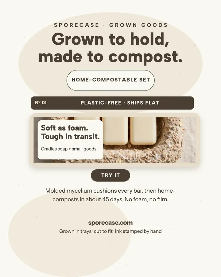 Sporecase mycelium launch post template