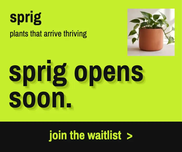 Sprig plant club waitlist template