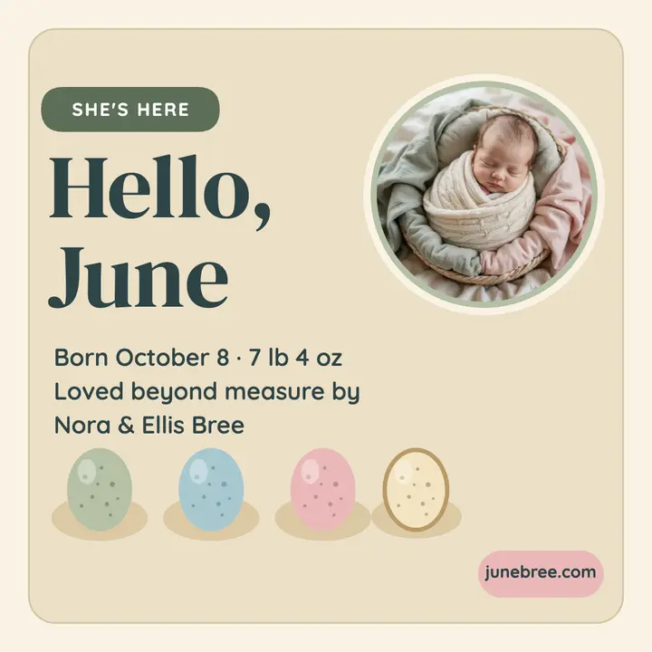 June baby girl spring egg announcement: baby girl announcement template