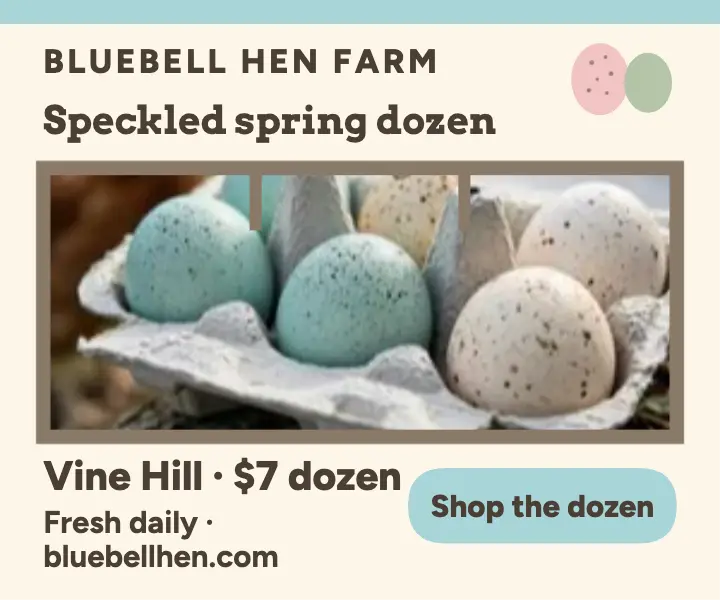 Bluebell Hen Farm speckled spring dozen ad template