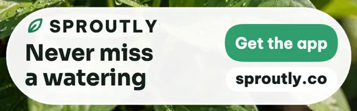 Sproutly watering reminder app banner template