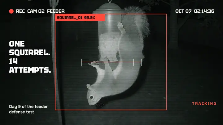 Squirrel vs the feeder cam thumbnail, surveillance frame template