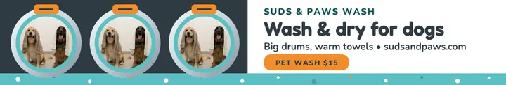 Suds and Paws porthole washer cover: pet wash cover template