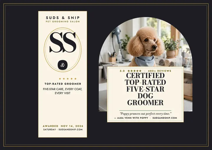 Suds and Snip top rated certificate: groomer review certificate template