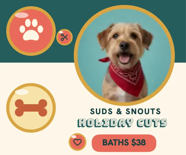 Suds and Snouts holiday cuts pin ad template