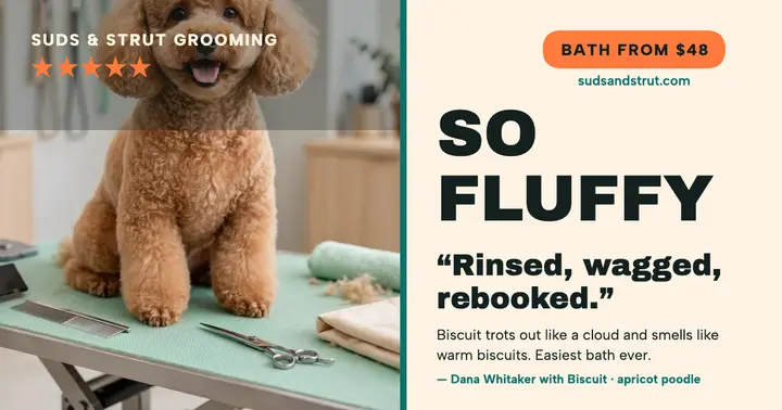 Suds and Strut groomer review post template