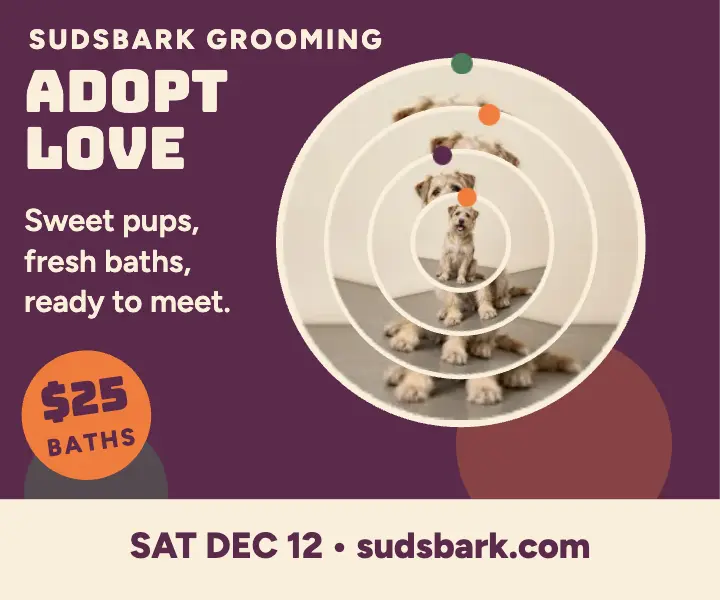 Sudsbark Grooming adoption day ad template