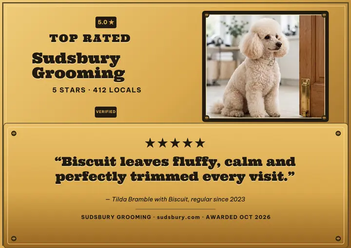 Sudsbury five-star brass review plaque: groomer review certificate template