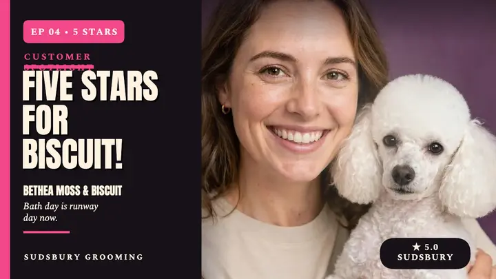 Sudsbury five star spotlight thumbnail template