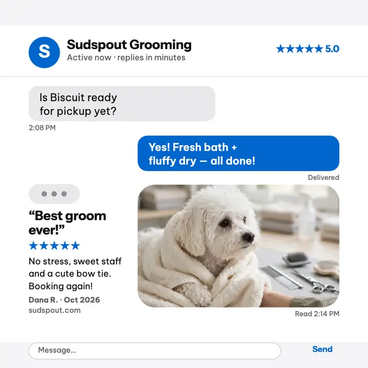 Sudspout grooming chat review thread template