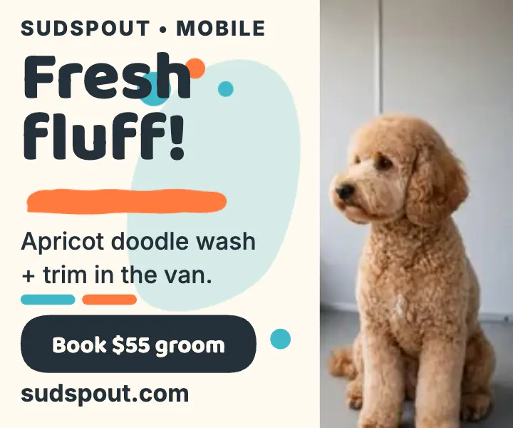 Sudspout Mobile doodle groom blotch ad template
